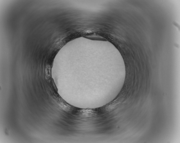 X0000095890528200802081120