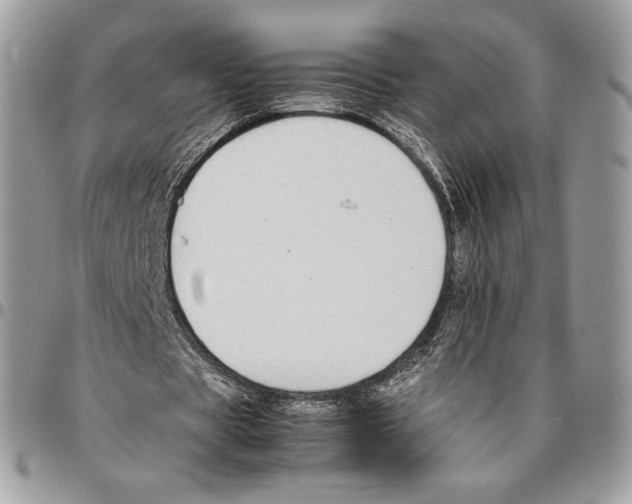 X0000095890529200802081119
