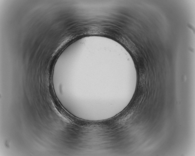 X0000095890530200802081119