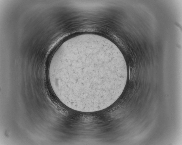 X0000095890531200802081119