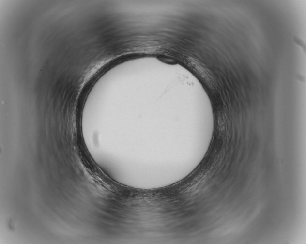 X0000095890532200802081119