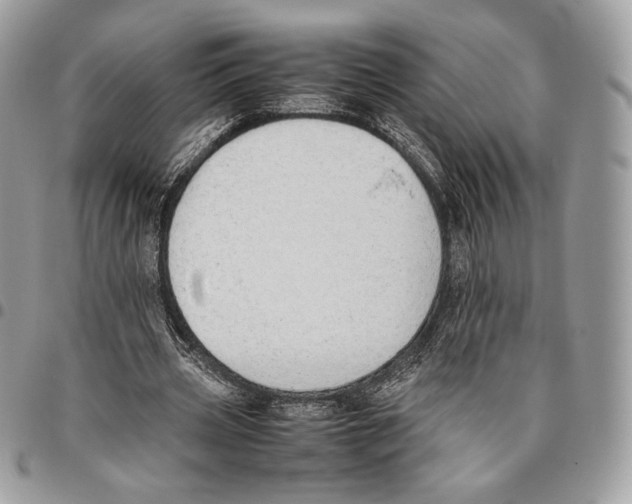 X0000095890533200802081119