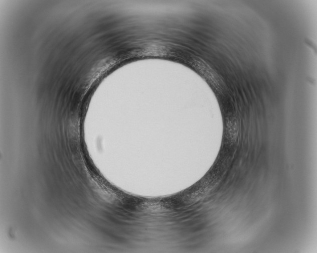 X0000095890534200802081119