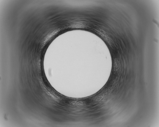 X0000095890535200802081120