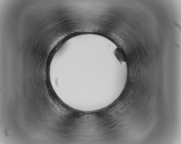 X0000095890536200802081120