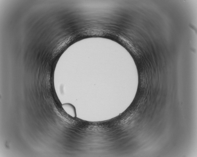 X0000095890538200802081120