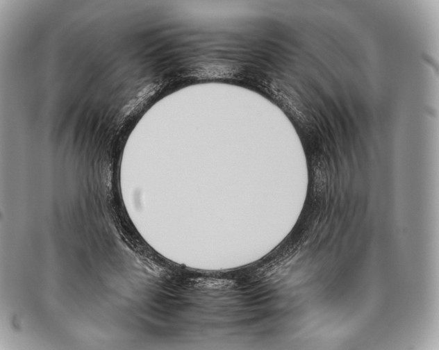 X0000095890539200802081120