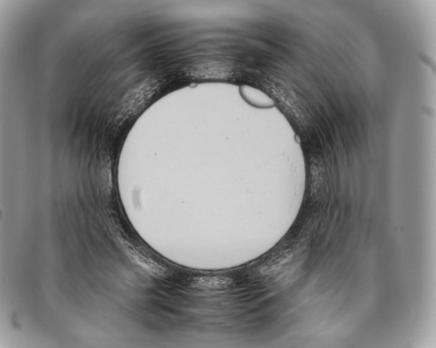 X0000095890541200802081120