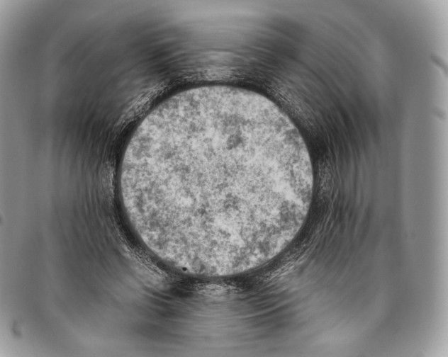 X0000095890542200802081120