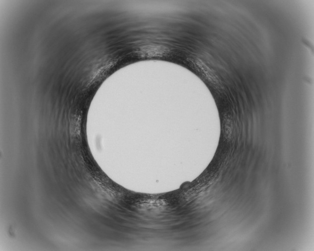 X0000095890543200802081120