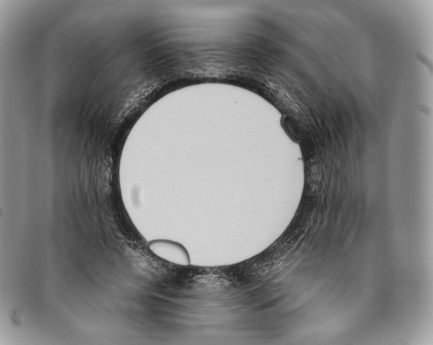 X0000095890544200802081120