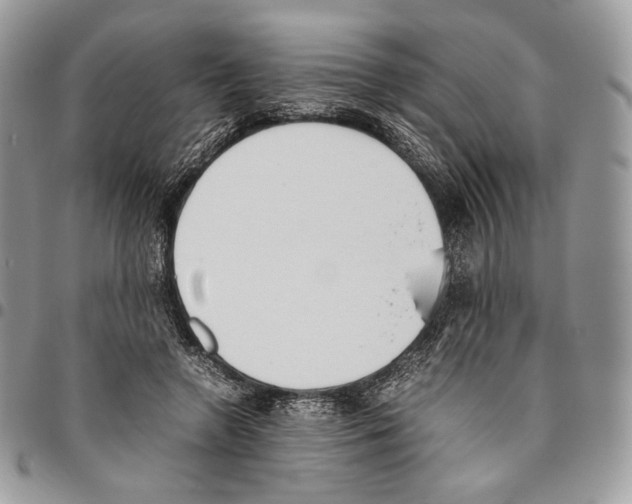 X0000095890546200802081120