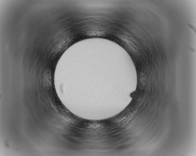 X0000095890547200802081120