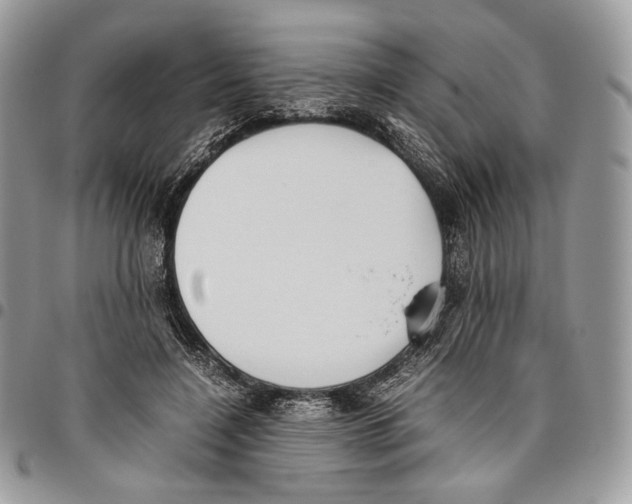 X0000095890548200802081120