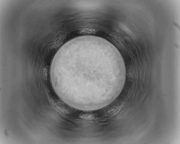 X0000095890551200802081120