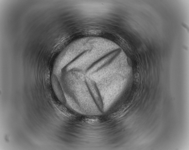 X0000095890552200802081120