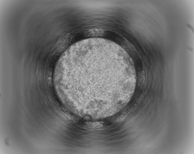 X0000095890553200802081120