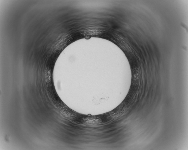 X0000095890555200802081120