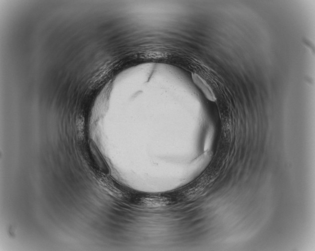 X0000095890556200802081120