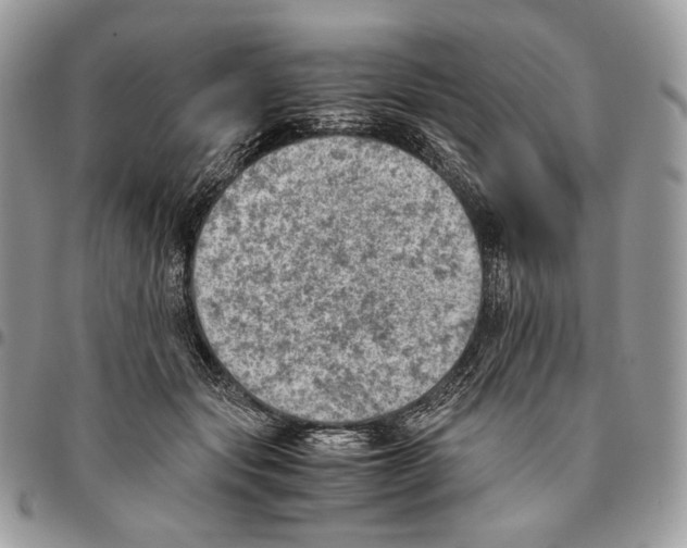 X0000095890557200802081120