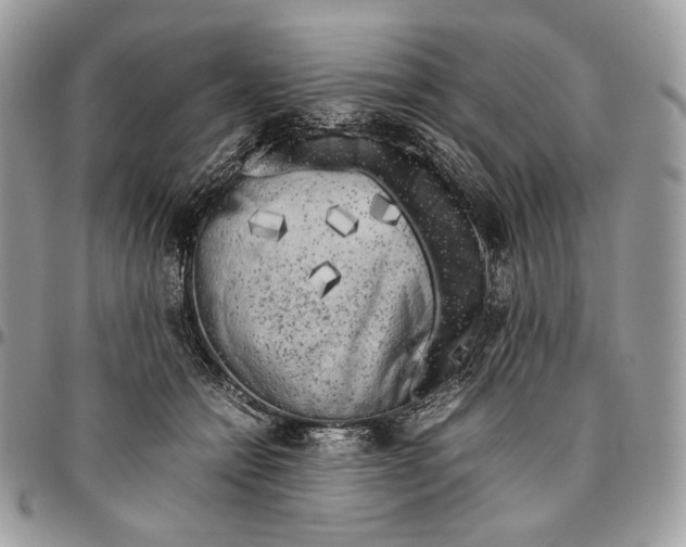 X0000095890558200802081120