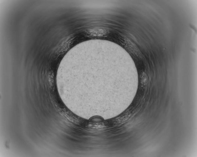 X0000095890559200802081120