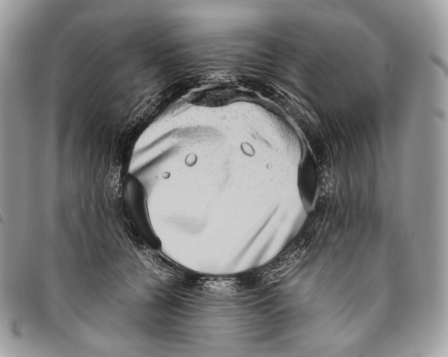 X0000095890560200802081120