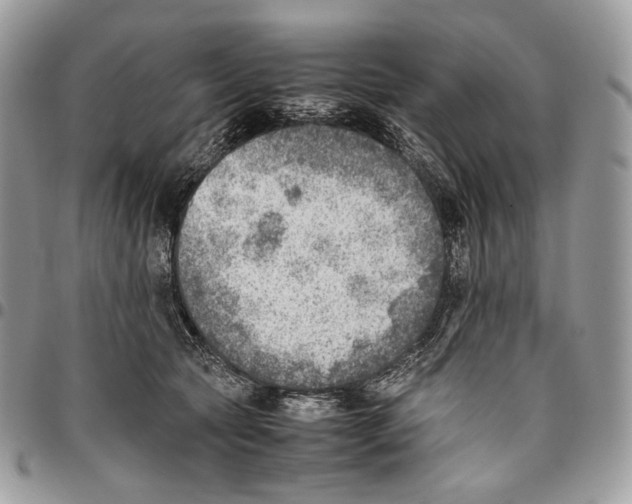 X0000095890561200802081120