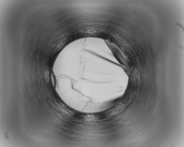 X0000095890562200802081120