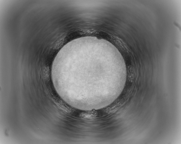 X0000095890563200802081120