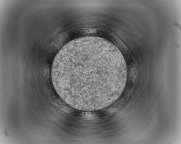 X0000095890565200802081120