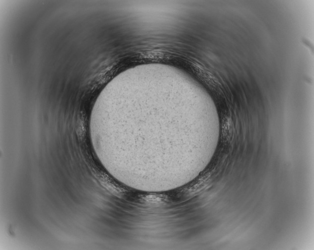 X0000095890566200802081120