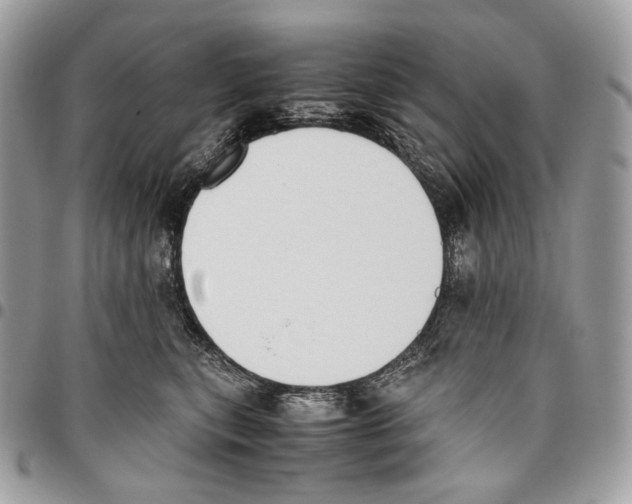X0000095890567200802081120