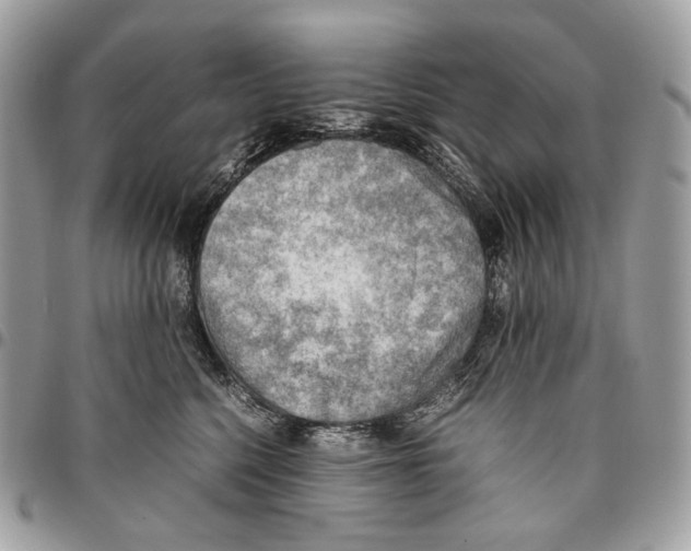 X0000095890568200802081120