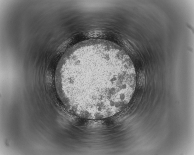 X0000095890569200802081120