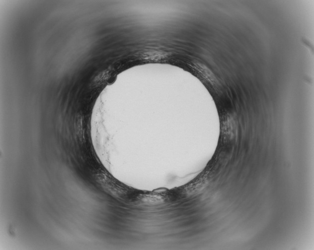 X0000095890572200802081120