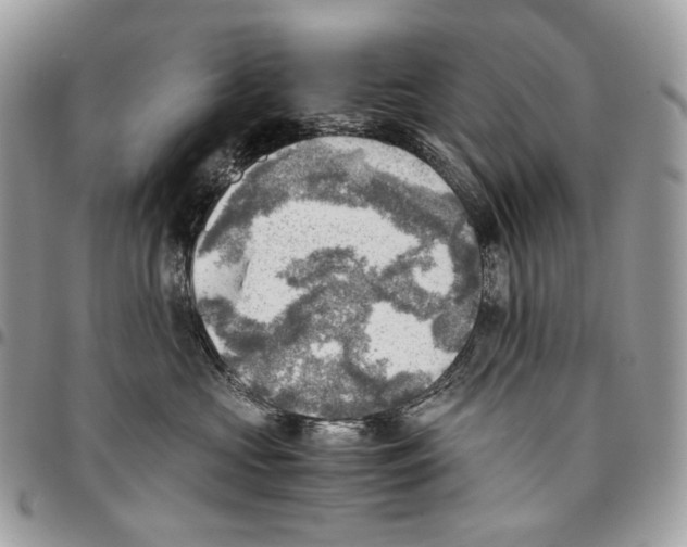 X0000095890573200802081120