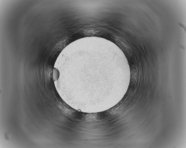 X0000095890574200802081120
