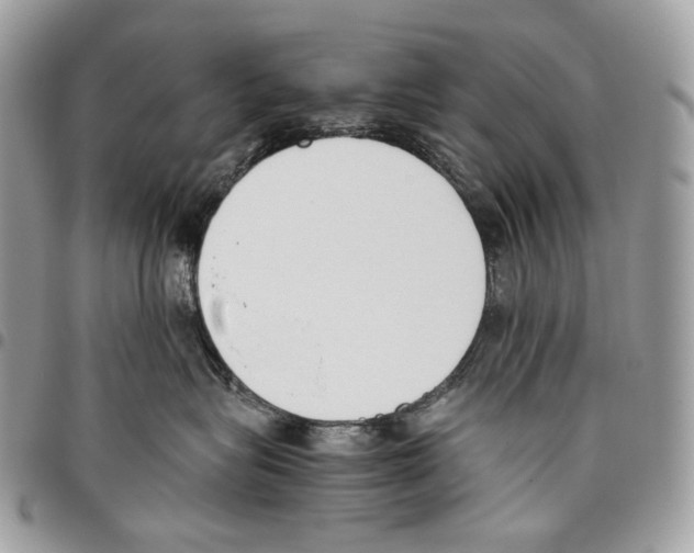 X0000095890575200802081120