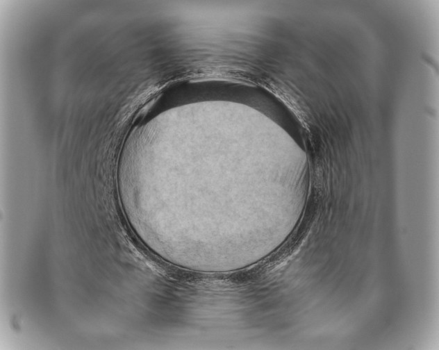 X0000095890577200802081119
