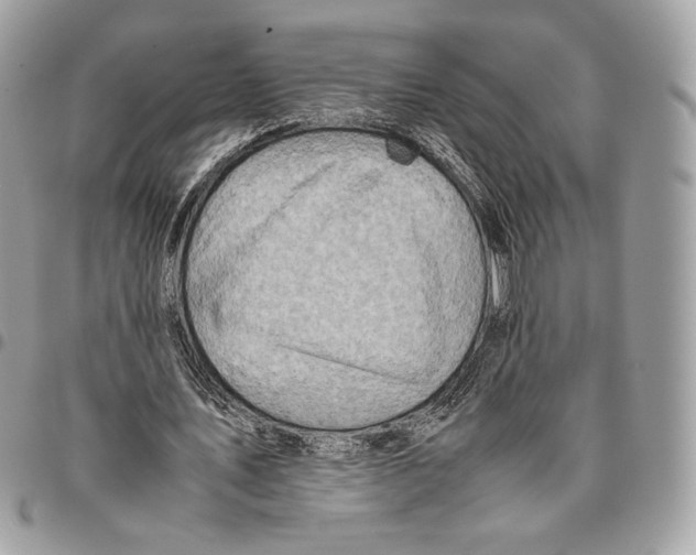 X0000095890579200802081119