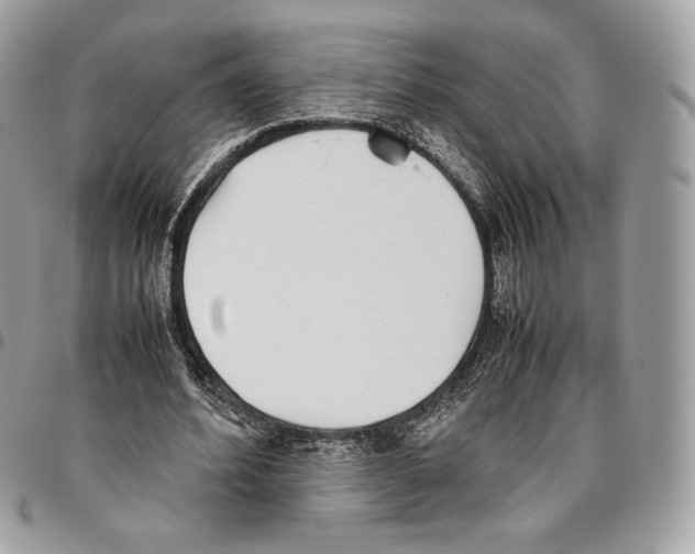 X0000095890580200802081119