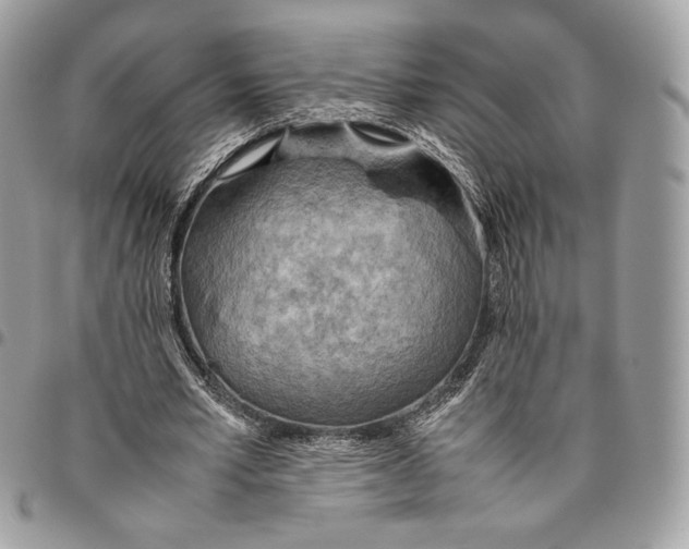 X0000095890581200802081119