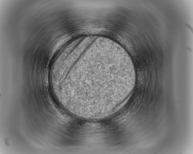 X0000095890582200802081119