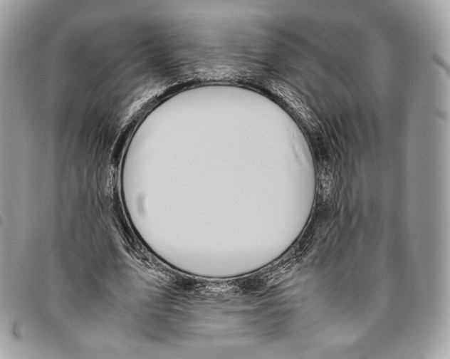 X0000095890583200802081119