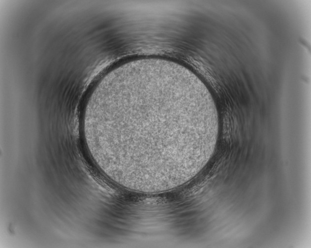 X0000095890584200802081119