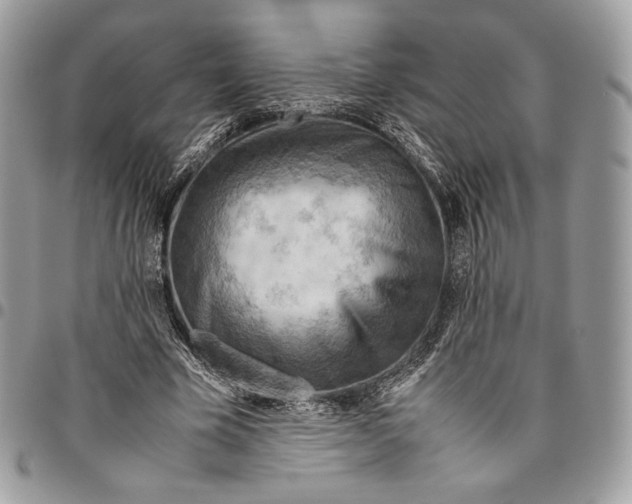 X0000095890585200802081119