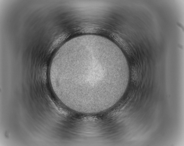 X0000095890586200802081119