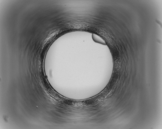 X0000095890587200802081119