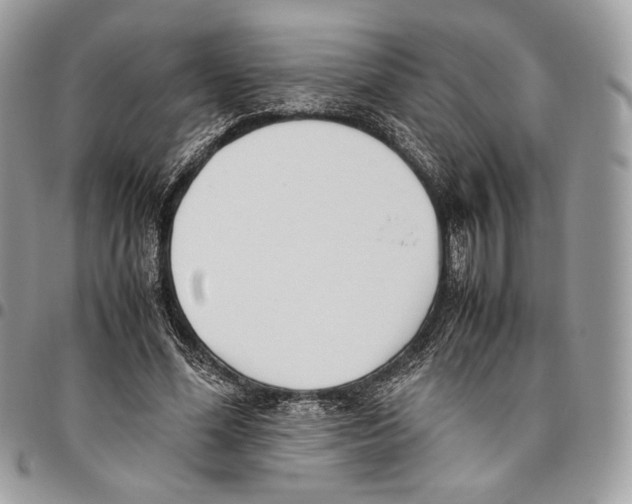 X0000095890588200802081119